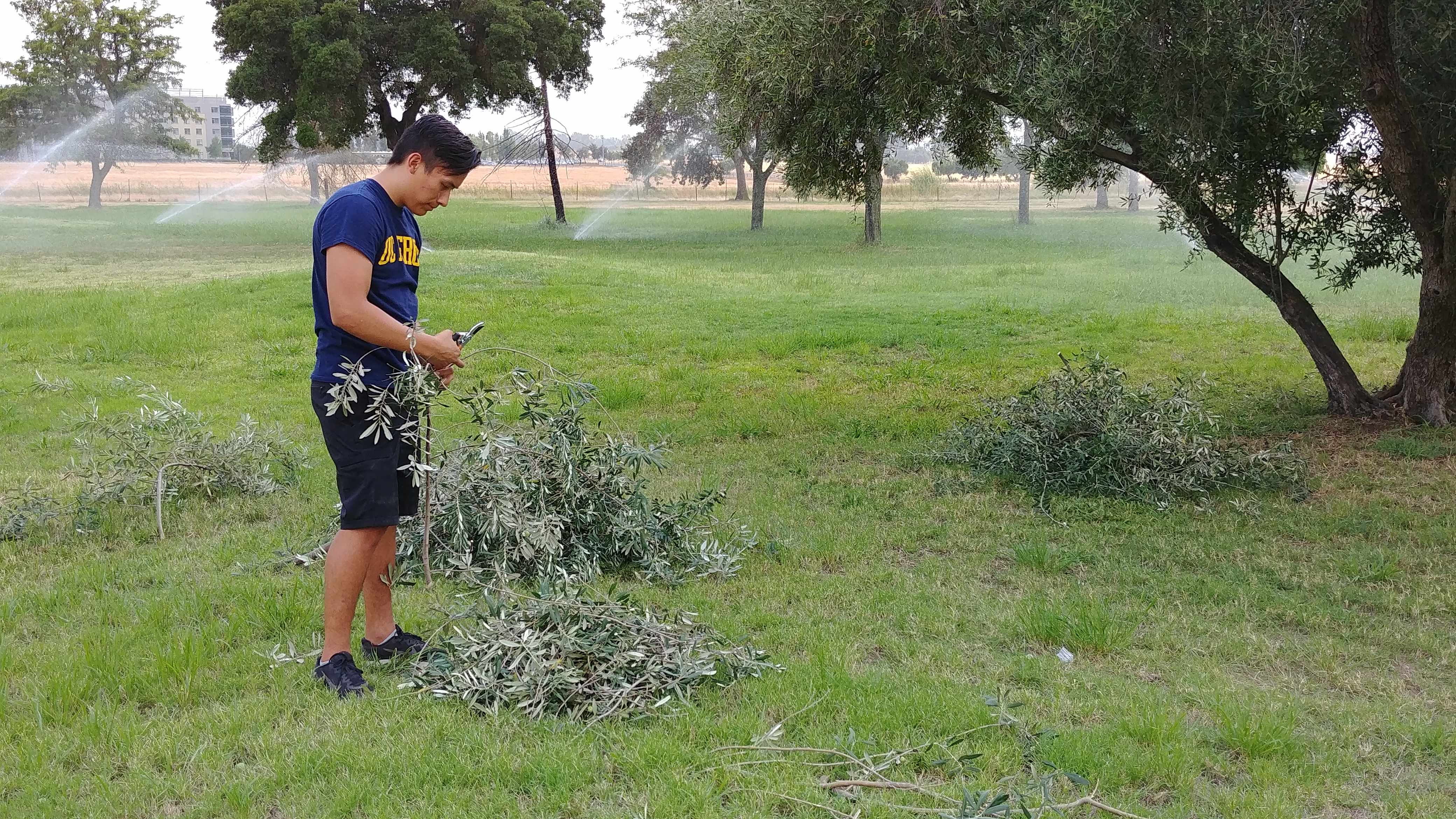 A volunteer working in a field of grass