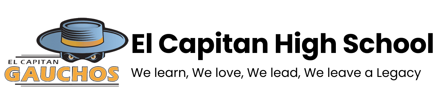 Example Image
