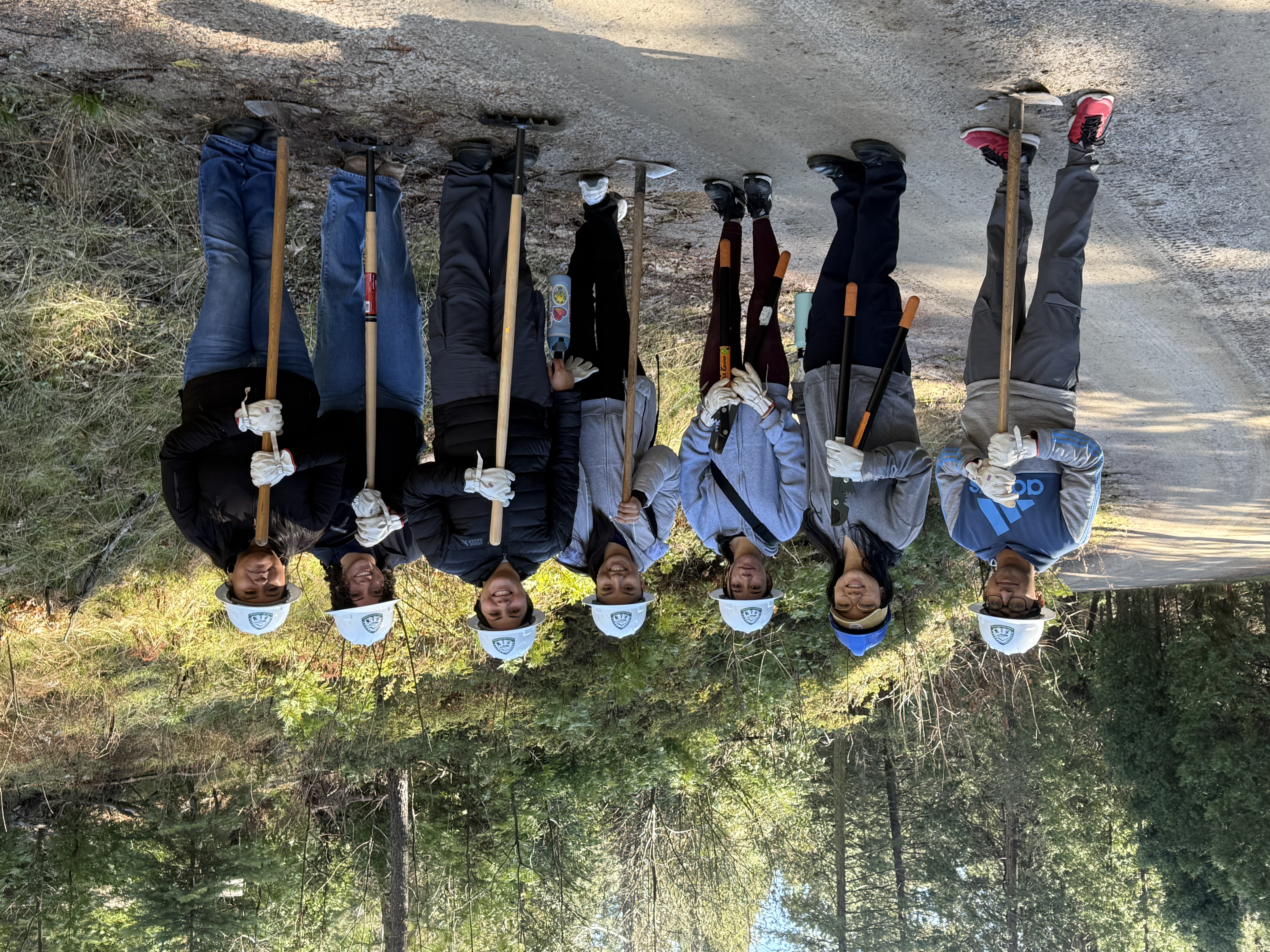 Leadership and Service LLC