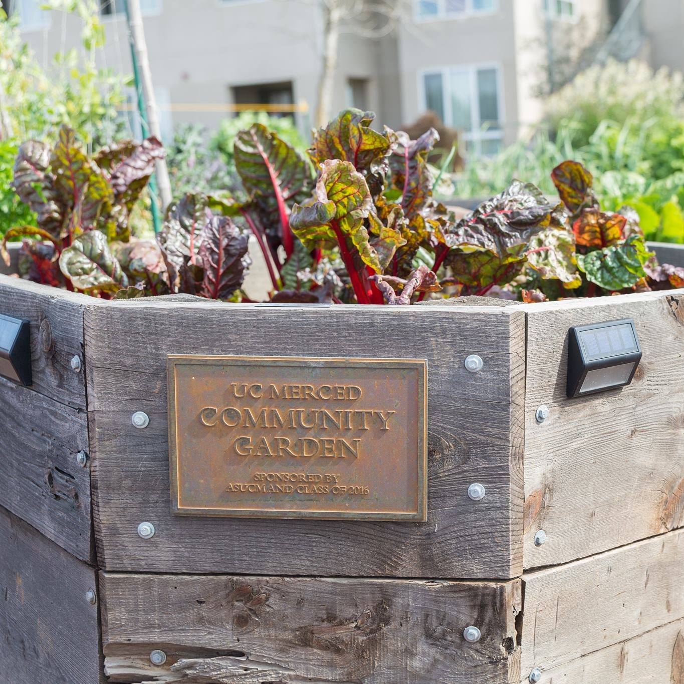 UC Merced Campus Garden